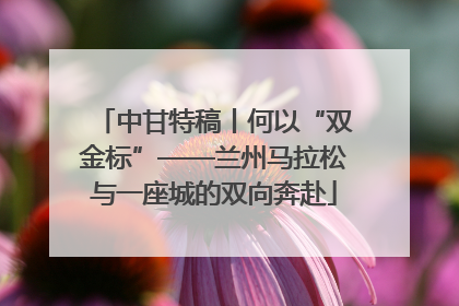 中甘特稿丨何以“双金标”——兰州马拉松与一座城的双向奔赴
