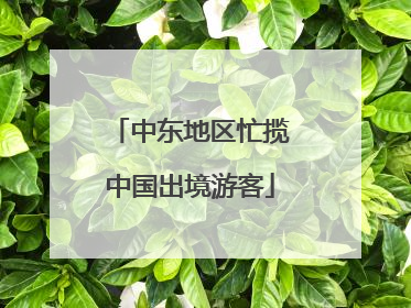 中东地区忙揽中国出境游客