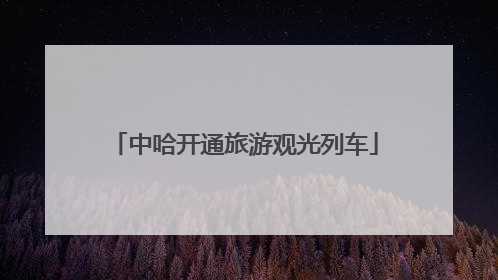 中哈开通旅游观光列车