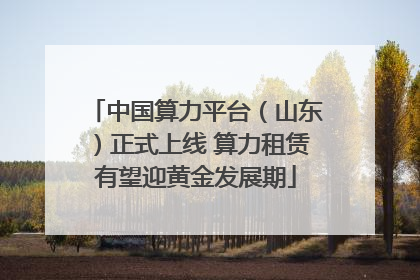 中国算力平台（山东）正式上线 算力租赁有望迎黄金发展期
