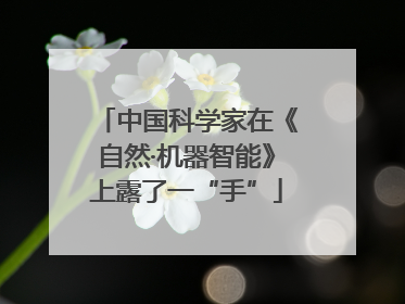 中国科学家在《自然·机器智能》上露了一“手”