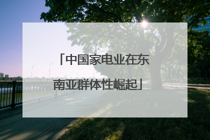 中国家电业在东南亚群体性崛起