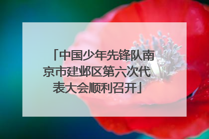 中国少年先锋队南京市建邺区第六次代表大会顺利召开