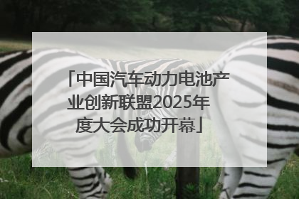 中国汽车动力电池产业创新联盟2025年度大会成功开幕