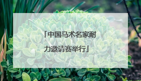 中国马术名家耐力邀请赛举行