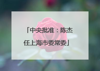中央批准：陈杰任上海市委常委