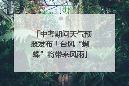 中考期间天气预报发布！台风“蝴蝶”将带来风雨