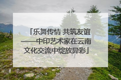 乐舞传情 共筑友谊——中印艺术家在云南文化交流中绽放异彩