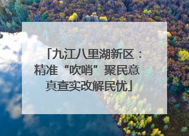 九江八里湖新区：精准“吹哨”聚民意 真查实改解民忧