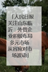 人民日报关注山东临沂：外贸企业积极布局多元市场 从容应对市场波动