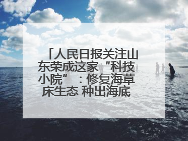 人民日报关注山东荣成这家“科技小院”：修复海草床生态 种出海底“森林”