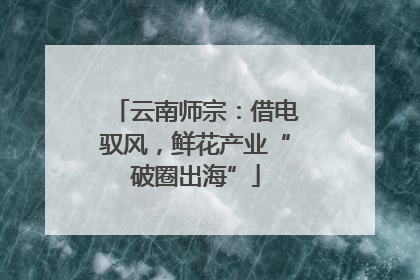云南师宗：借电驭风，鲜花产业“破圈出海”