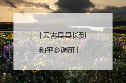 云霄县县长到和平乡调研