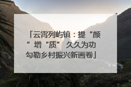 云霄列屿镇：提“颜”增“质” 久久为功勾勒乡村振兴新画卷