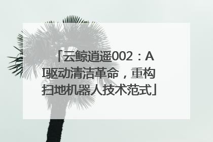 云鲸逍遥002：AI驱动清洁革命，重构扫地机器人技术范式