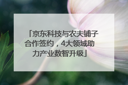 京东科技与农夫铺子合作签约，4大领域助力产业数智升级