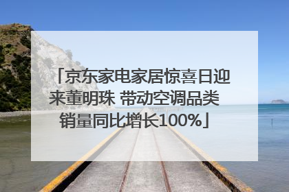京东家电家居惊喜日迎来董明珠 带动空调品类销量同比增长100%