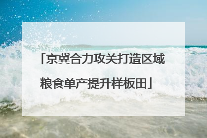 京冀合力攻关打造区域粮食单产提升样板田