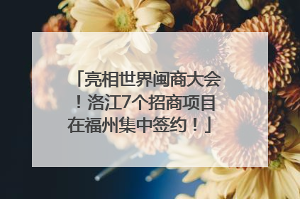 亮相世界闽商大会！洛江7个招商项目在福州集中签约！