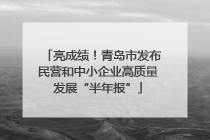 亮成绩！青岛市发布民营和中小企业高质量发展“半年报”