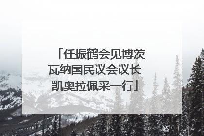 任振鹤会见博茨瓦纳国民议会议长凯奥拉佩采一行