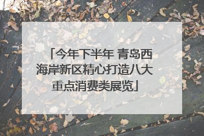 今年下半年 青岛西海岸新区精心打造八大重点消费类展览