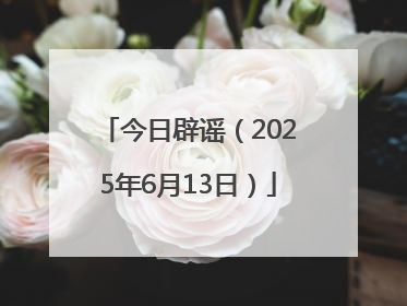今日辟谣（2025年6月13日）