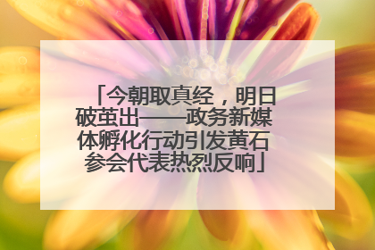 今朝取真经，明日破茧出——政务新媒体孵化行动引发黄石参会代表热烈反响