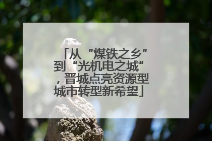从“煤铁之乡”到“光机电之城”，晋城点亮资源型城市转型新希望