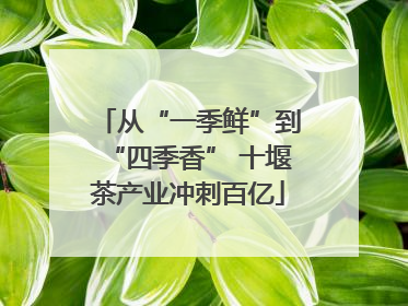 从“一季鲜”到“四季香” 十堰茶产业冲刺百亿