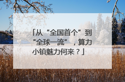 从“全国首个”到“全球一流”，算力小镇魅力何来？