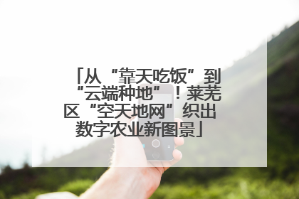 从“靠天吃饭”到“云端种地”！莱芜区“空天地网”织出数字农业新图景