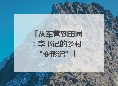 从军营到田园：李书记的乡村 “变形记”
