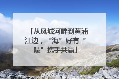 从凤城河畔到黄浦江边，“海”好有“陵”携手共赢