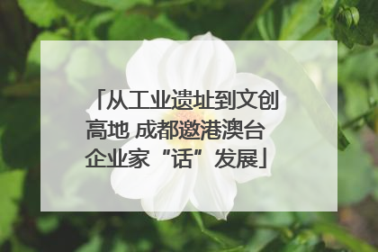 从工业遗址到文创高地 成都邀港澳台企业家“话”发展