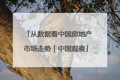 从数据看中国房地产市场走势｜中国观察