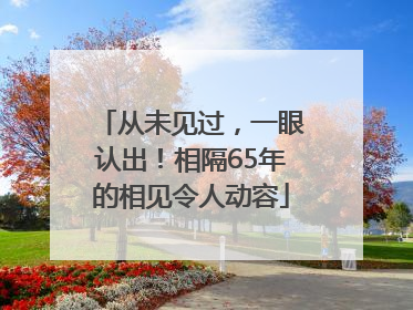 从未见过，一眼认出！相隔65年的相见令人动容
