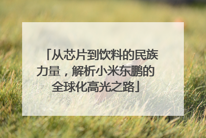 从芯片到饮料的民族力量，解析小米东鹏的全球化高光之路