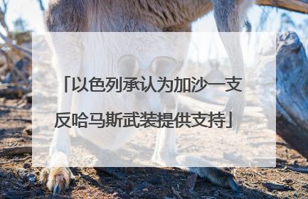 以色列承认为加沙一支反哈马斯武装提供支持