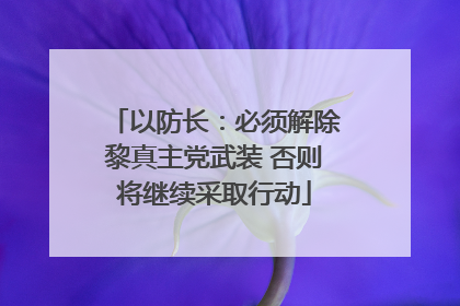 以防长：必须解除黎真主党武装 否则将继续采取行动