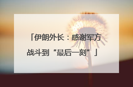 伊朗外长：感谢军方战斗到“最后一刻”