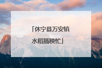 休宁县万安镇水稻插秧忙