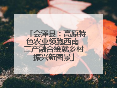 会泽县：高原特色农业领跑西南 三产融合绘就乡村振兴新图景