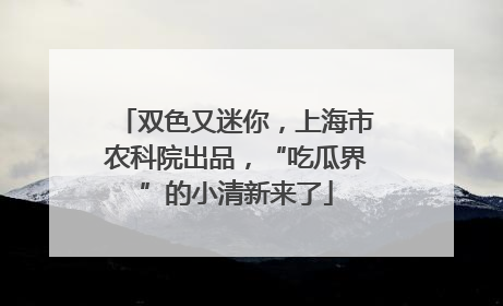 双色又迷你，上海市农科院出品，“吃瓜界”的小清新来了