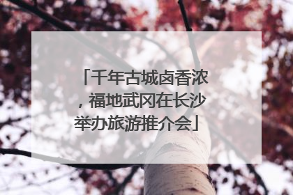 千年古城卤香浓，福地武冈在长沙举办旅游推介会
