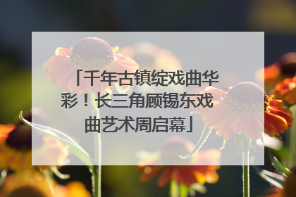 千年古镇绽戏曲华彩！长三角顾锡东戏曲艺术周启幕