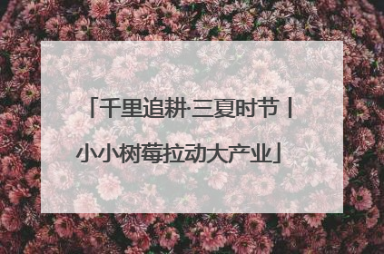 千里追耕·三夏时节丨小小树莓拉动大产业