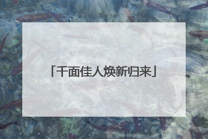 千面佳人焕新归来