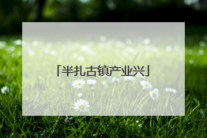 半扎古镇产业兴