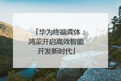 华为终端龚体：鸿蒙开启高效智能开发新时代